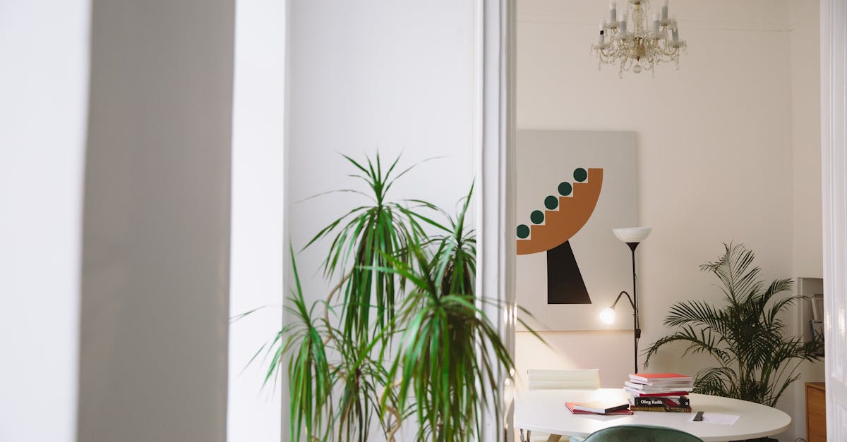 Building Your Own Indoor Plant Stand  