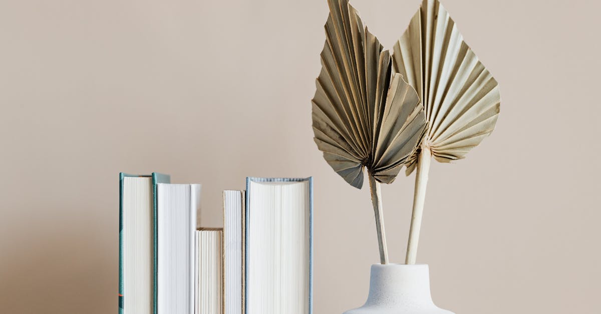 Creating a Cozy Reading Nook at Home  