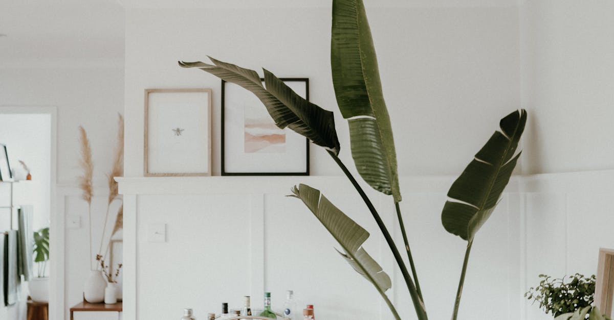 Easy DIY Projects for a Stylish Home Office  